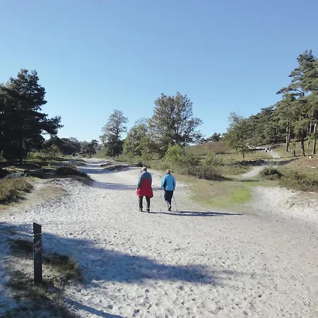 Well Furnished Near Brunssummerheide *